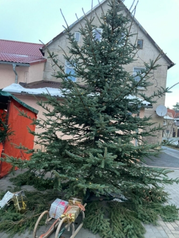 Weihnachtsmarkt_2023_Baum